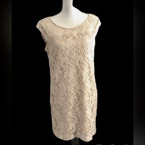 LC Lace Cocktail Dress Lauren Conrad Ivory 8